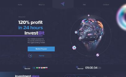 Investbit